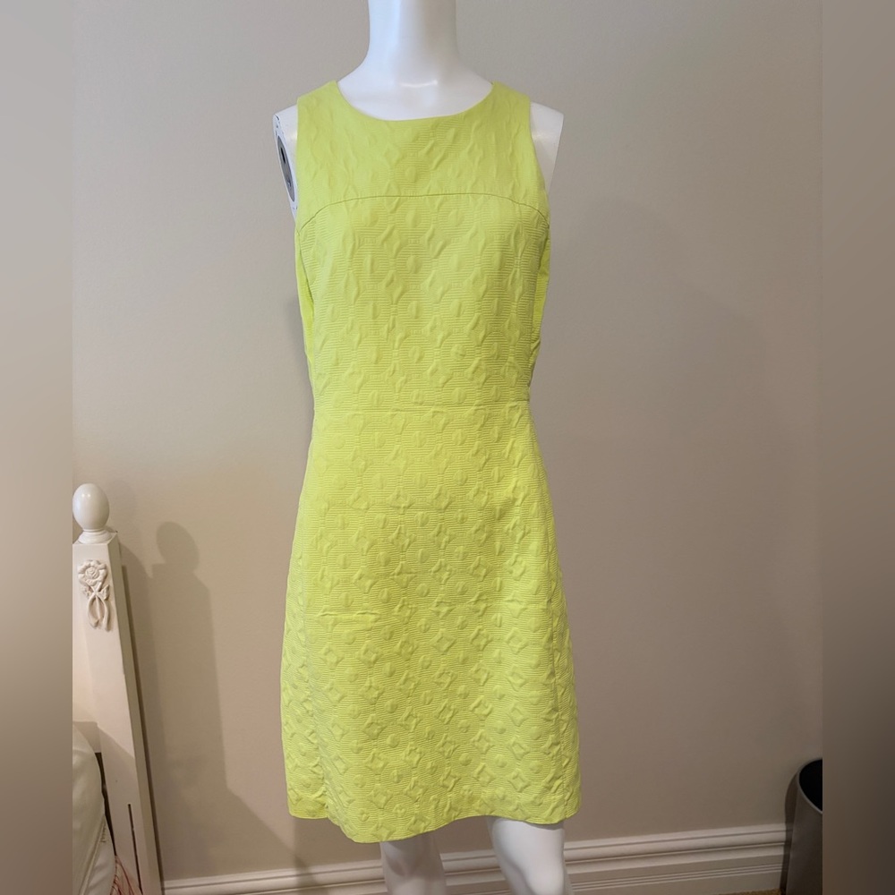 Banana Republic Lime Mini Dress